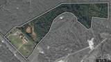 12977 Us Hwy 84 W - Photo 42