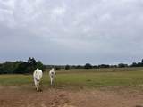 17137 C R 43 - Photo 46