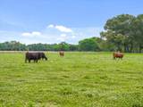 501 Private Road 5120 - Photo 47