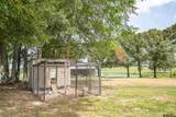 10822 Cr 246 S. - Photo 34