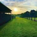 23241 Cr 2159 - Photo 45