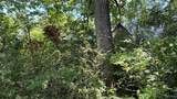 17762 Fm 1253 - Photo 22
