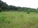 10878 Fm 19 - Photo 47