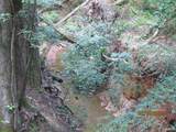 10878 Fm 19 - Photo 9
