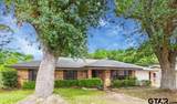 710 Bunny Rabbit Rd - Photo 7