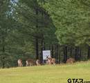 15322 Cr 1113 - Photo 33