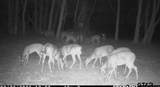 15322 Cr 1113 - Photo 34