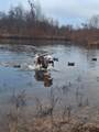 7722 Fm 2710 - Photo 47