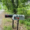 412 County Road 4110 - Photo 3