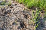 16661 Pr 2360 - Photo 42