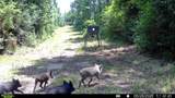 16661 Pr 2360 - Photo 47