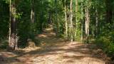 22924 Cr 223 - Photo 11