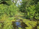 893 Fm 1519 - Photo 40