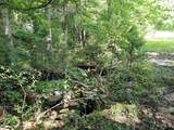 893 Fm 1519 - Photo 44