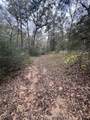 15308 Fm 321 - Photo 15