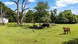460 County Road 4612 - Photo 38