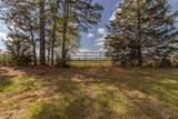 11810 County Rd 3101 - Photo 7