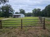 4644 Giraffe - Photo 1