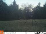 685 Cr 1320 - Photo 40
