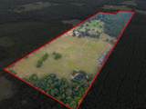 2892 N Live Oak Rd - Photo 5