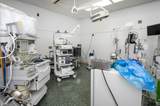 707 Waldrip - Photo 6
