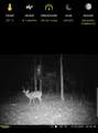 1363 Cr 4530 - Photo 46