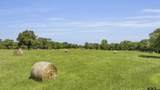 365 County Road 1534 - Photo 5