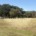 5047 N Fm 17 - Photo 30