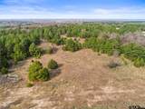 19955 County Road 4118 - Photo 6