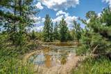 4358 Cr 367 - Photo 31