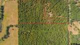 TBD Cr 479 (14.99 Ac Tract 4) - Photo 3