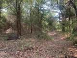 TBD Cr 479 (14.99 Ac Tract 4) - Photo 5