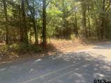TBD Cr 479 (14.99 Ac Tract 4) - Photo 6