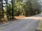 TBD Cr 479 (14.99 Ac Tract 4) - Photo 8