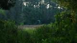 TBD Cr 461 - Photo 16