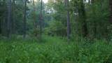 TBD Cr 461 - Photo 17