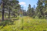 5681 An County Road 531 - Photo 6