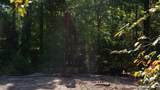 5755 Cr 102 - Photo 9