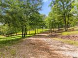 17379 County Road 318 - Photo 1