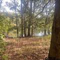 205 County Road 2880 - Photo 1