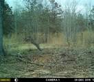 205 County Road 2880 - Photo 44