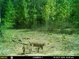 205 County Road 2880 - Photo 46