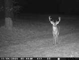 205 County Road 2880 - Photo 51