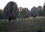 205 County Road 2880 - Photo 53