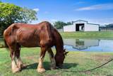 12310 C R 168 - Photo 5