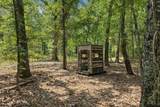 141 Cr 2021 - Photo 28