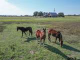 411 Rs County Road 4525 - Photo 71