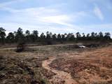 20175 Hwy 155 Lot E-1 - Photo 52
