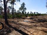 20175 Hwy 155 Lot E-1 - Photo 63
