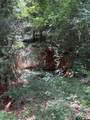 1841 County Road 3402 - Photo 47